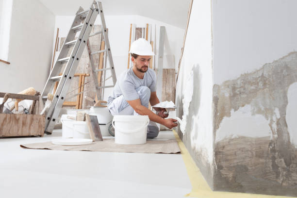 Mold Odor Removal Services in Clear Lake, SD