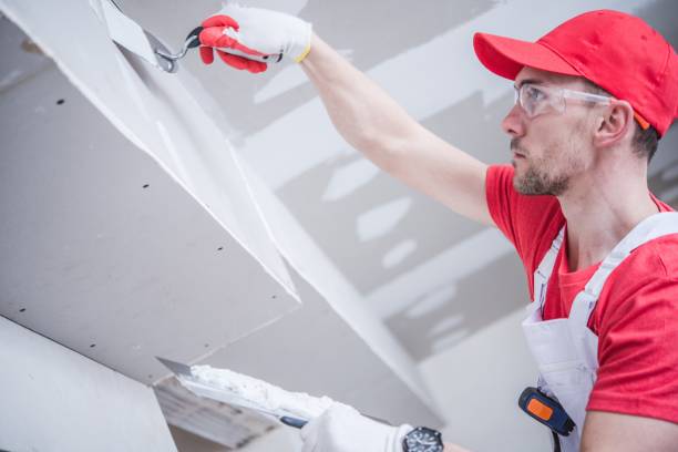Best Black Mold Removal  in Clear Lake, SD
